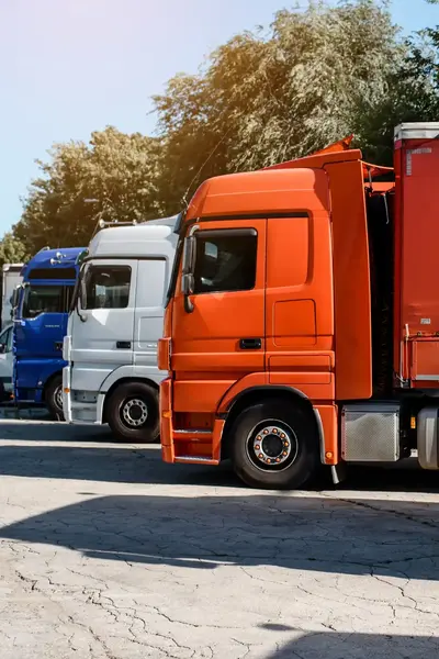 Meerdere gekleurde vrachtwagen in rij opgesteld.